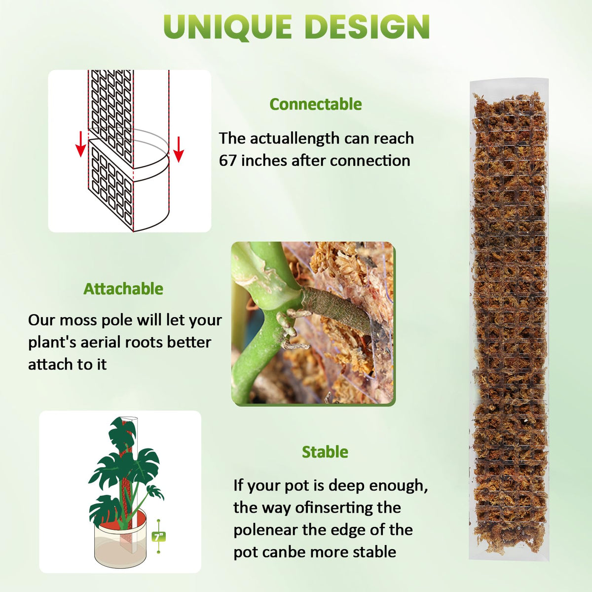 EOX Moss pole in pot setup shows quick, simple installation