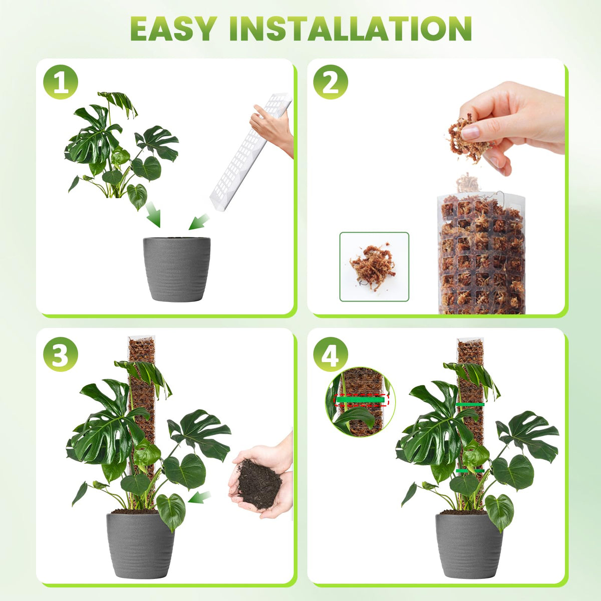 EOX moss pole in pot with climbing plant for vertical growth.