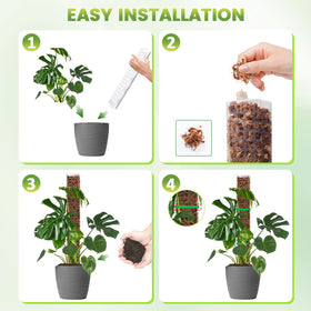 EOX moss pole in pot with climbing plant for vertical growth.