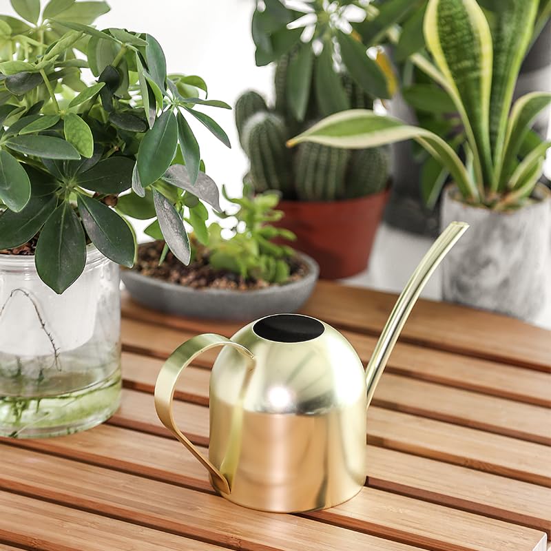E.Palace water can used for indoor plants and small office greenery.