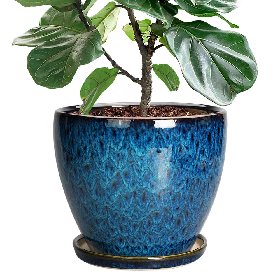EPFamily 10-inch ceramic planter blue with flowing glaze for stylish indoor decor.