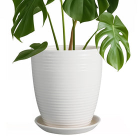 EPFamily 8inch ceramic planter round with drainage hole for healthy roots.