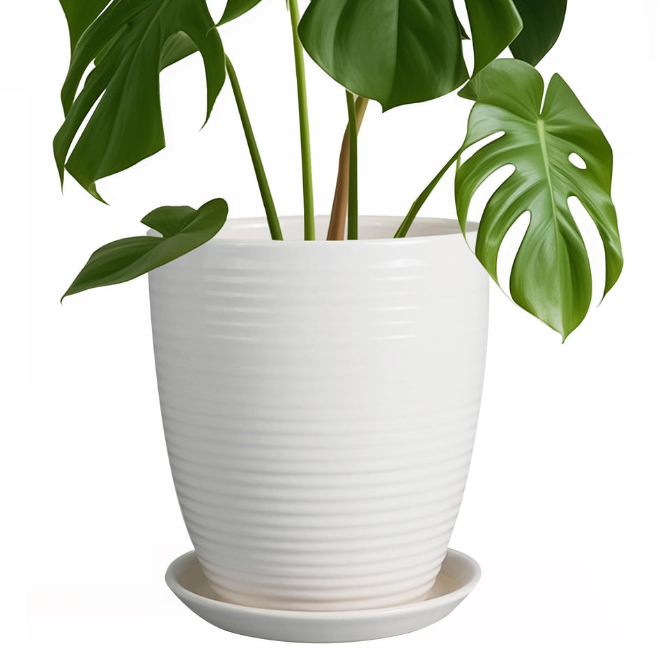 EPFamily 8inch ceramic planter round with drainage hole for healthy roots.