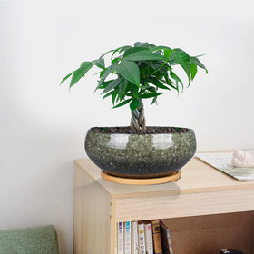EPFamily bamboo saucer under planter protects surfaces from moisture.