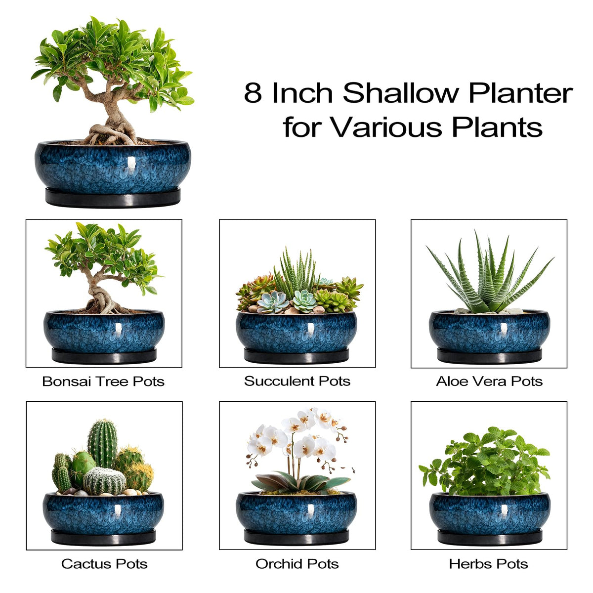 EPFamily gift-ready blue glazed bonsai pot for plant lovers