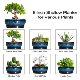 EPFamily gift-ready blue glazed bonsai pot for plant lovers
