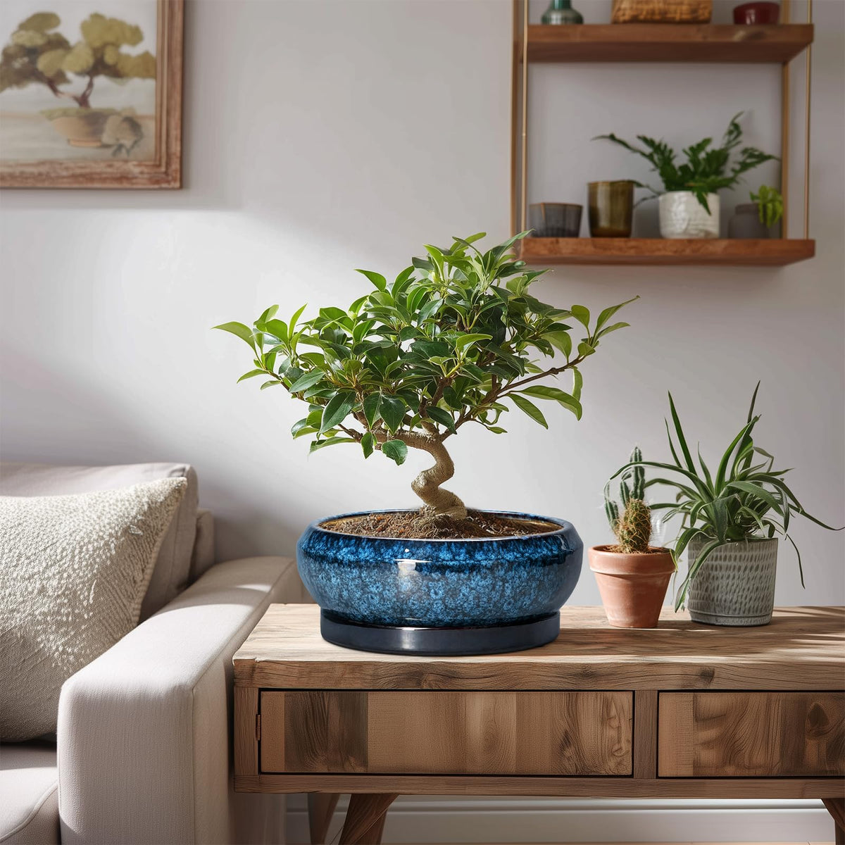 EPFamily blue glazed bonsai planter enhances living room decor