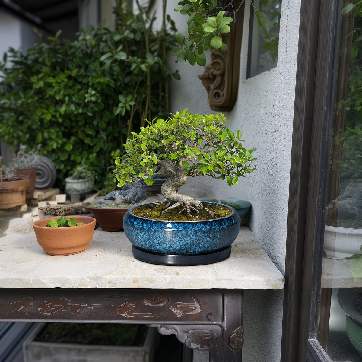 EPFamily ceramic bonsai pot with drainage hole for healthy roots