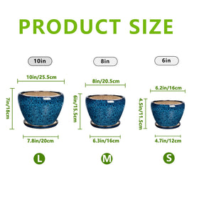 EPFamily ceramic plant pot 10-inch blue ideal for larger houseplants