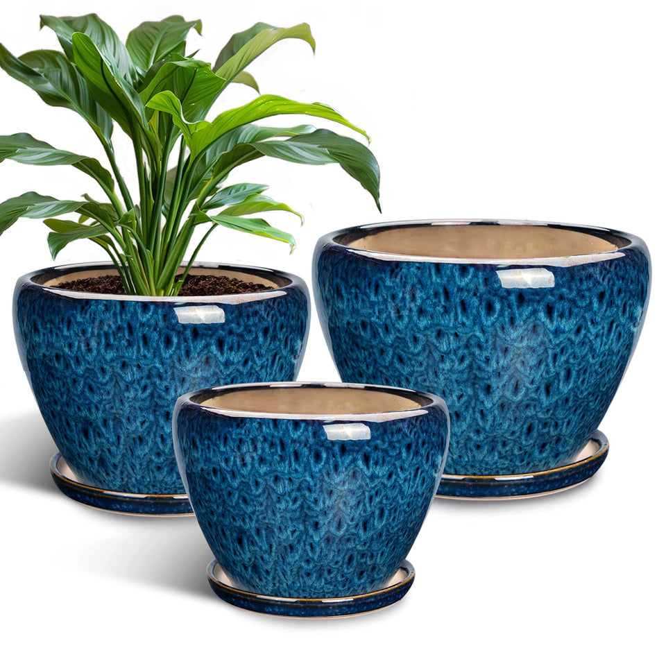 EPFamily ceramic plant pot 6-inch blue with drainage hole promotes healthy roots