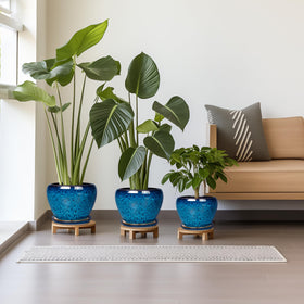 EPFamily ceramic plant pot 8-inch blue with smooth glaze for stylish decor