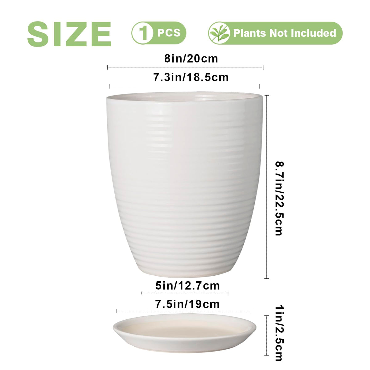EPFamily ceramic planter with removable tray for mess-free watering.