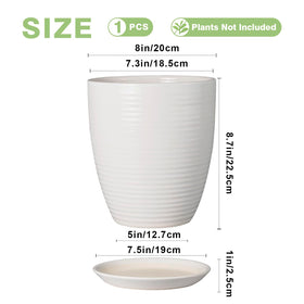EPFamily ceramic planter with removable tray for mess-free watering.