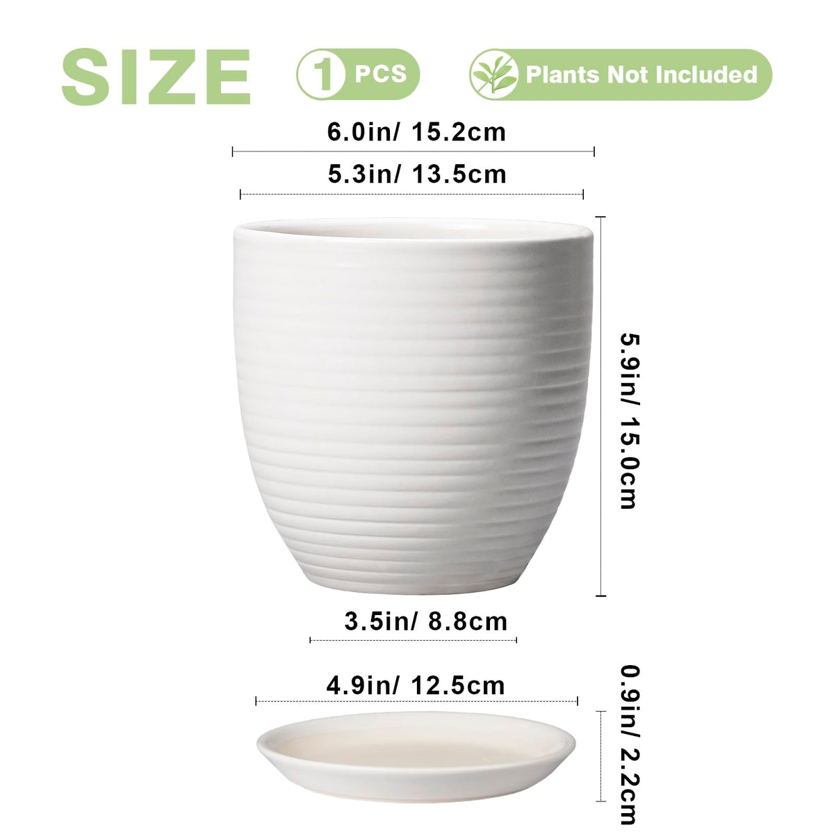 EPFamily pot with glazed fluted design adds modern elegance to spaces