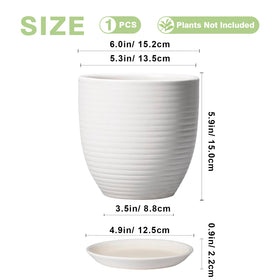 EPFamily pot with glazed fluted design adds modern elegance to spaces