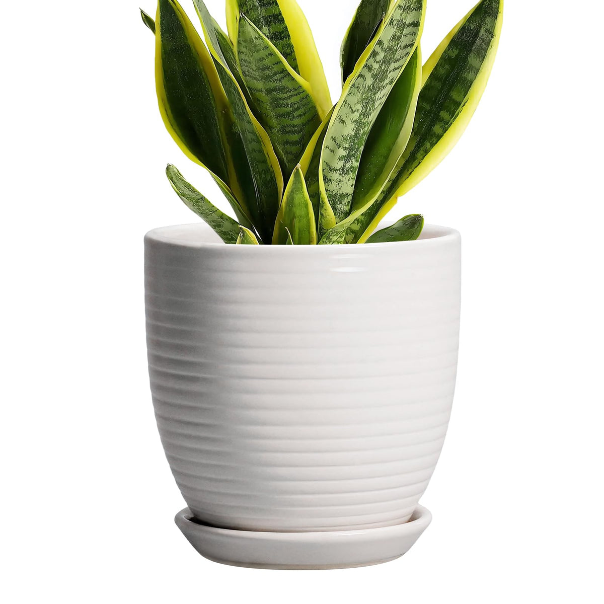 EPFamily ceramic pot 6-inch top view for stylish indoor decor and plant display