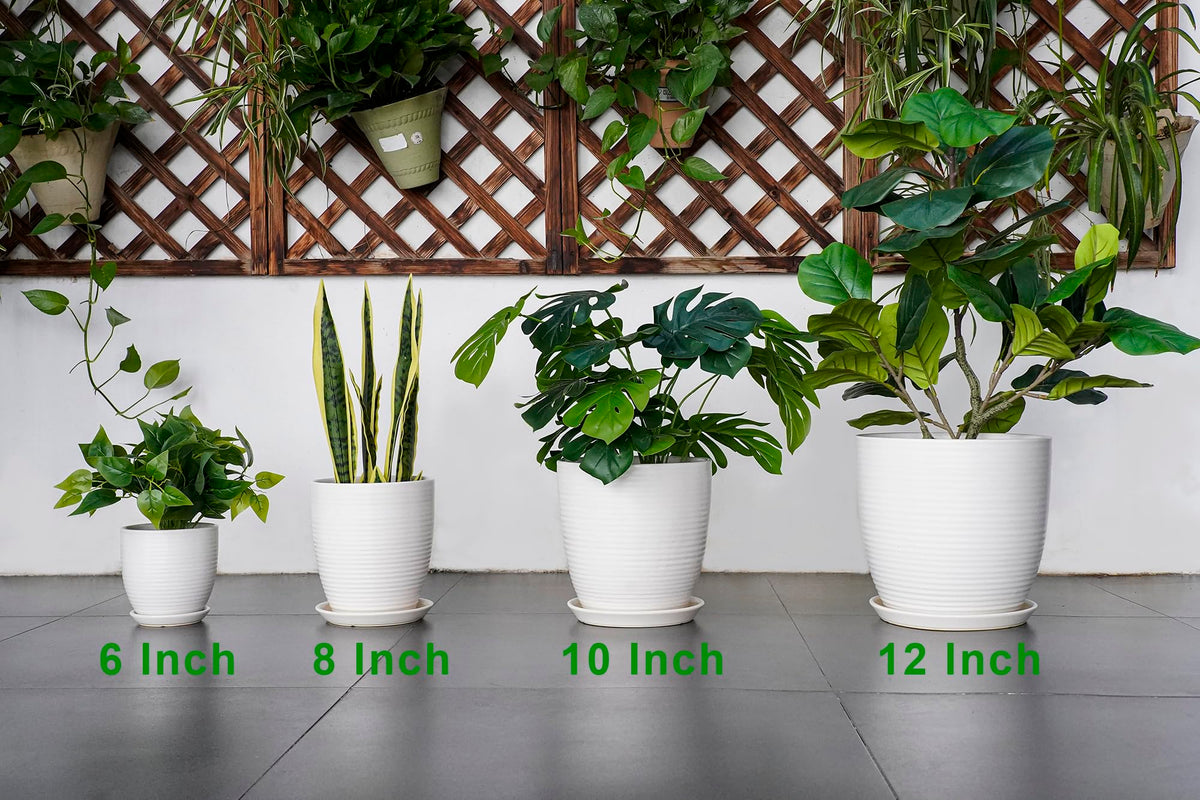 EPFamily giftable ceramic pot for plant lovers and holidays