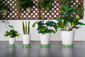 EPFamily giftable ceramic pot for plant lovers and holidays