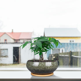 EPFamily brown glazed ceramic planter for indoor and outdoor plant displays.