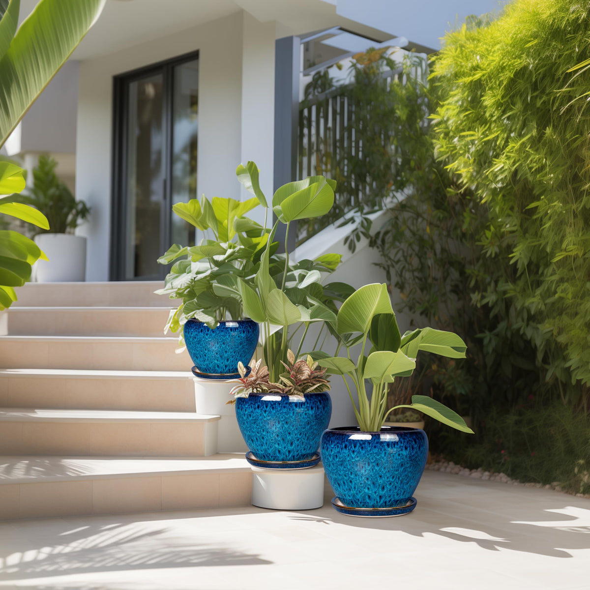 EPFamily indoor-outdoor-ready blue planter setup for versatile spaces