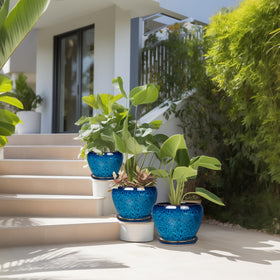 EPFamily indoor-outdoor-ready blue planter setup for versatile spaces