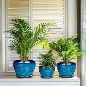 EPFamily modern vintage glaze blue planter for contemporary and classic looks