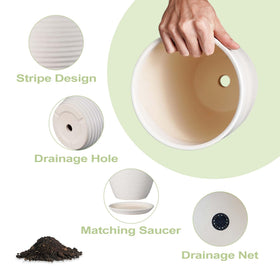 EPFamily ceramic planter on windowsill used for indoor outdoor decor.