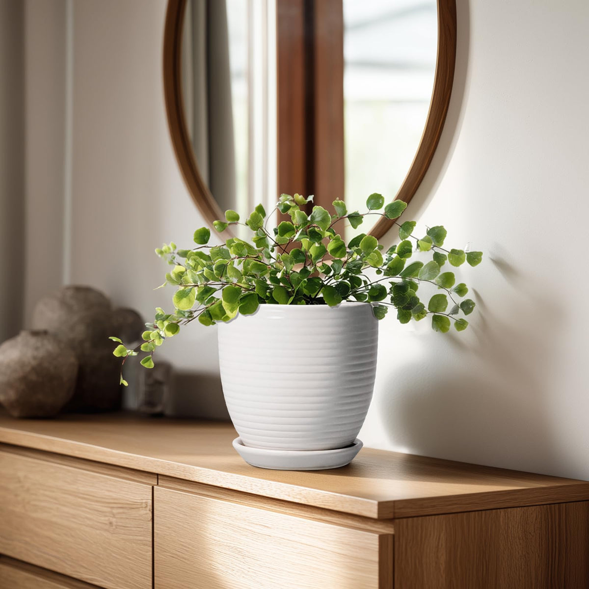 EPFamily pot shows drainage hole and saucer to manage watering
