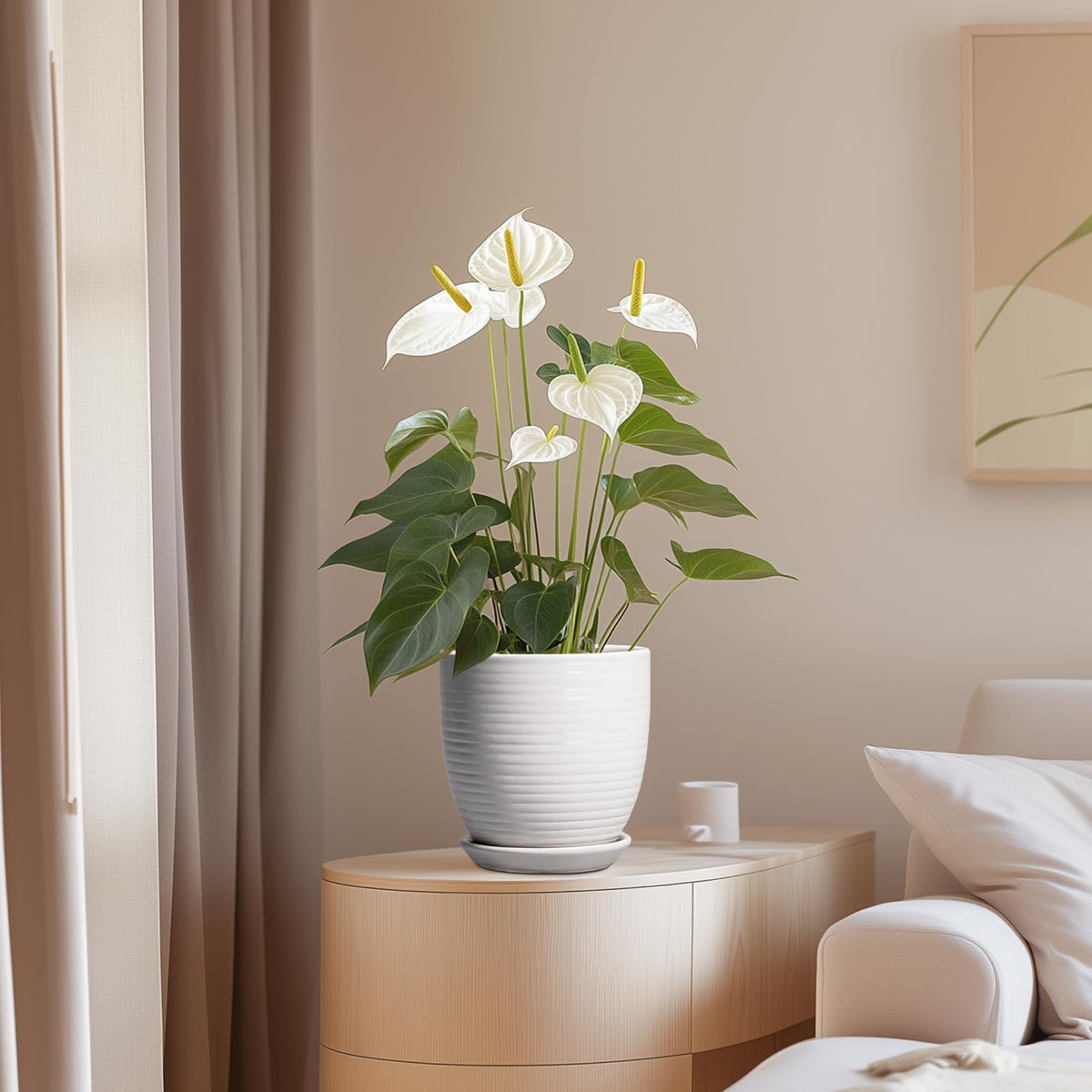 EPFamily planter suited for indoor outdoor use on patio