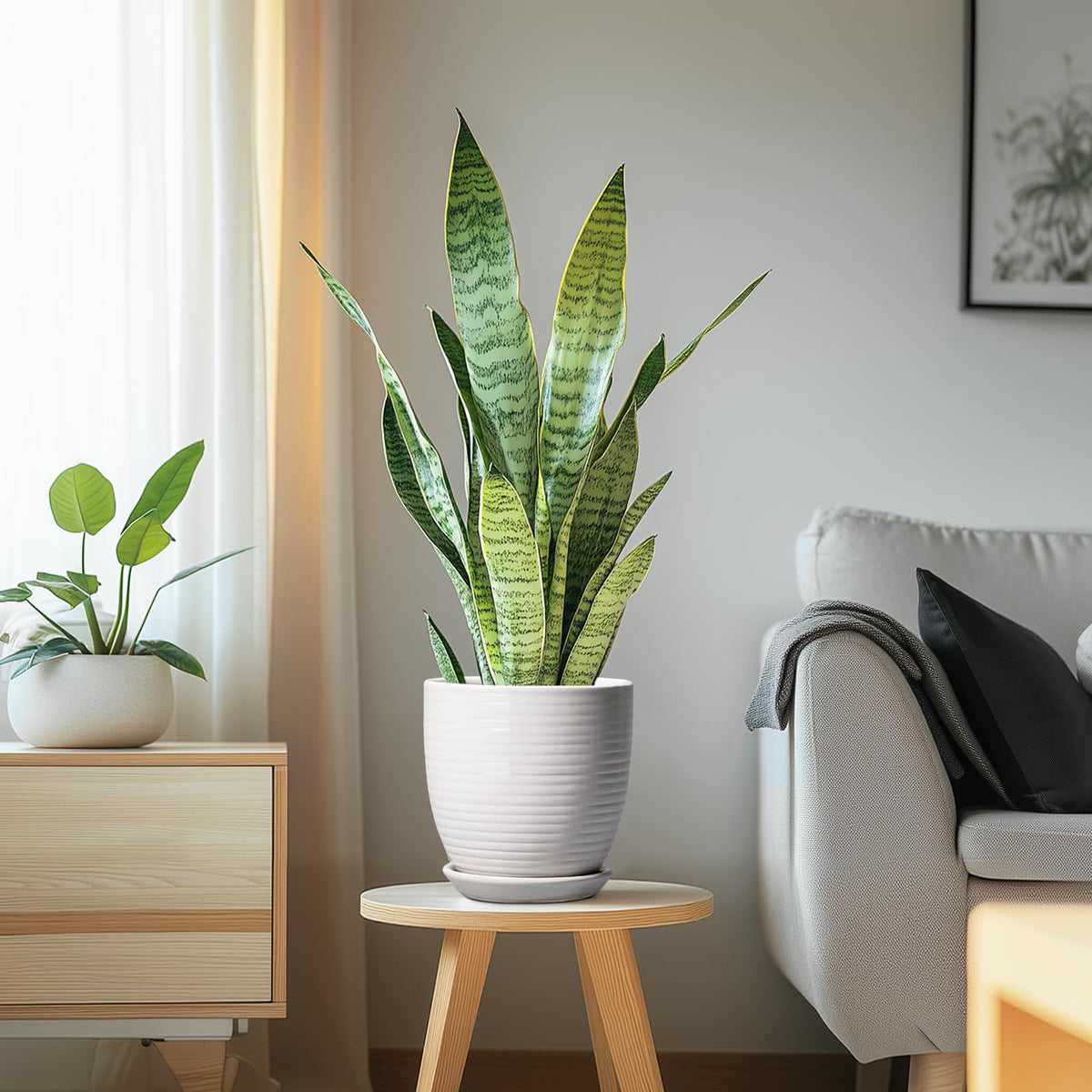 EPFamily white ceramic pot shown in bright room setting