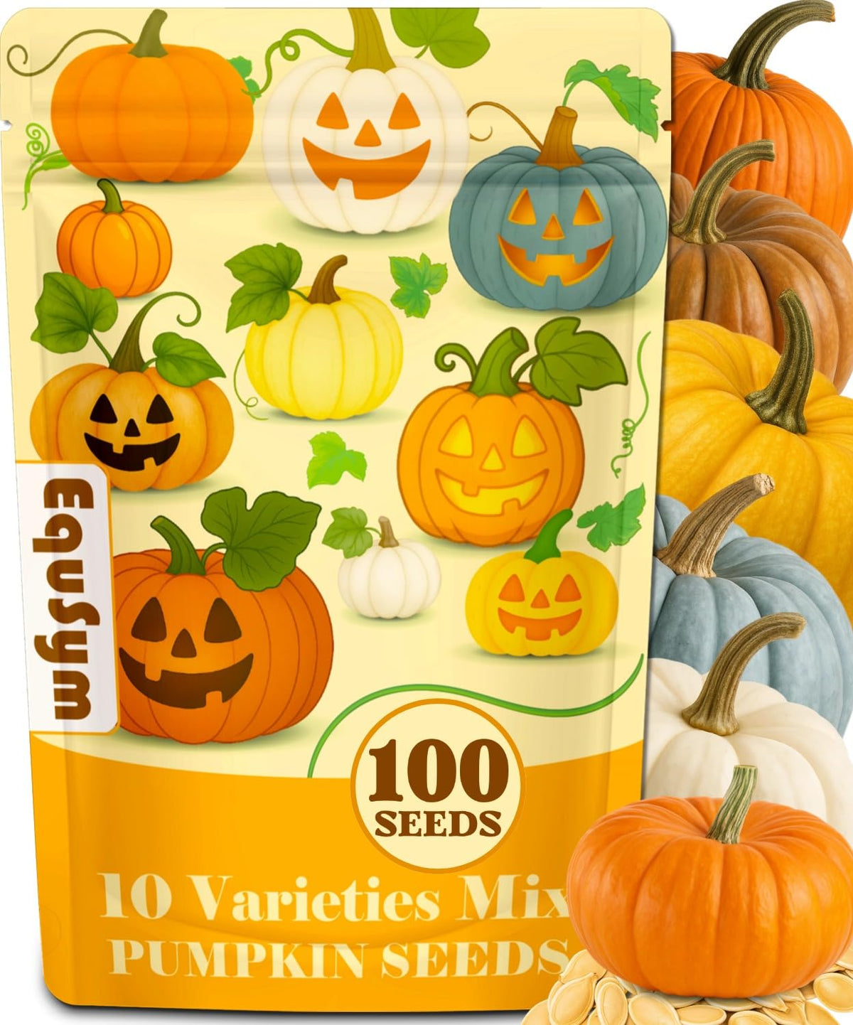 EquSym 10-variety pumpkin seeds pack great for home planting and diverse harvest