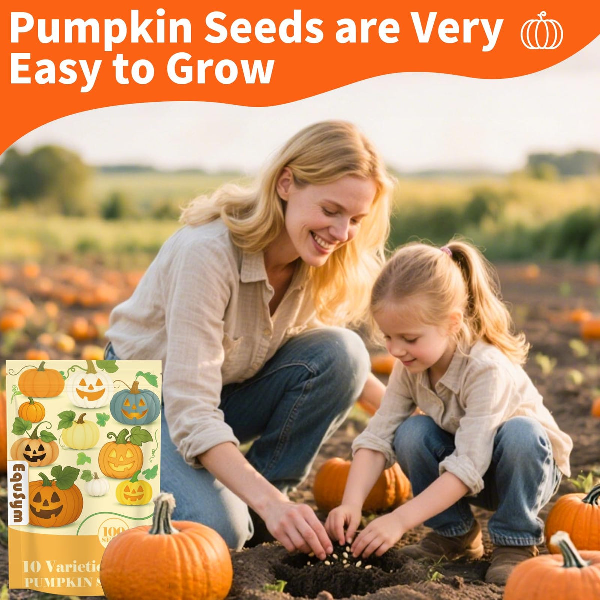 EquSym Baby Boo pumpkin seeds ideal for beginner gardeners and decorative pumpkins