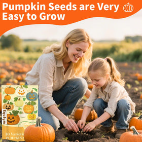 EquSym Baby Boo pumpkin seeds ideal for beginner gardeners and decorative pumpkins