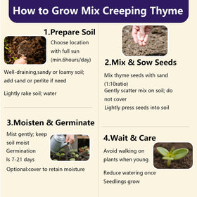 EquSym Creeping Thyme supports pollinators, attracting bees, butterflies, and hummingbirds.