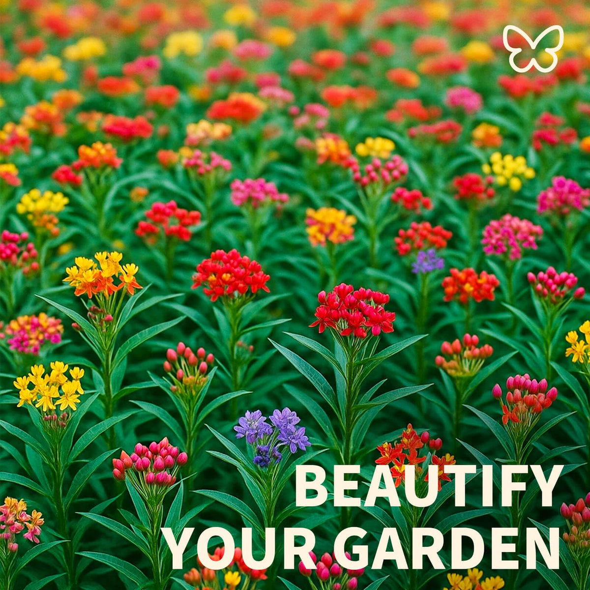 EquSym seeds planting steps guide for simple, successful backyard deployment.
