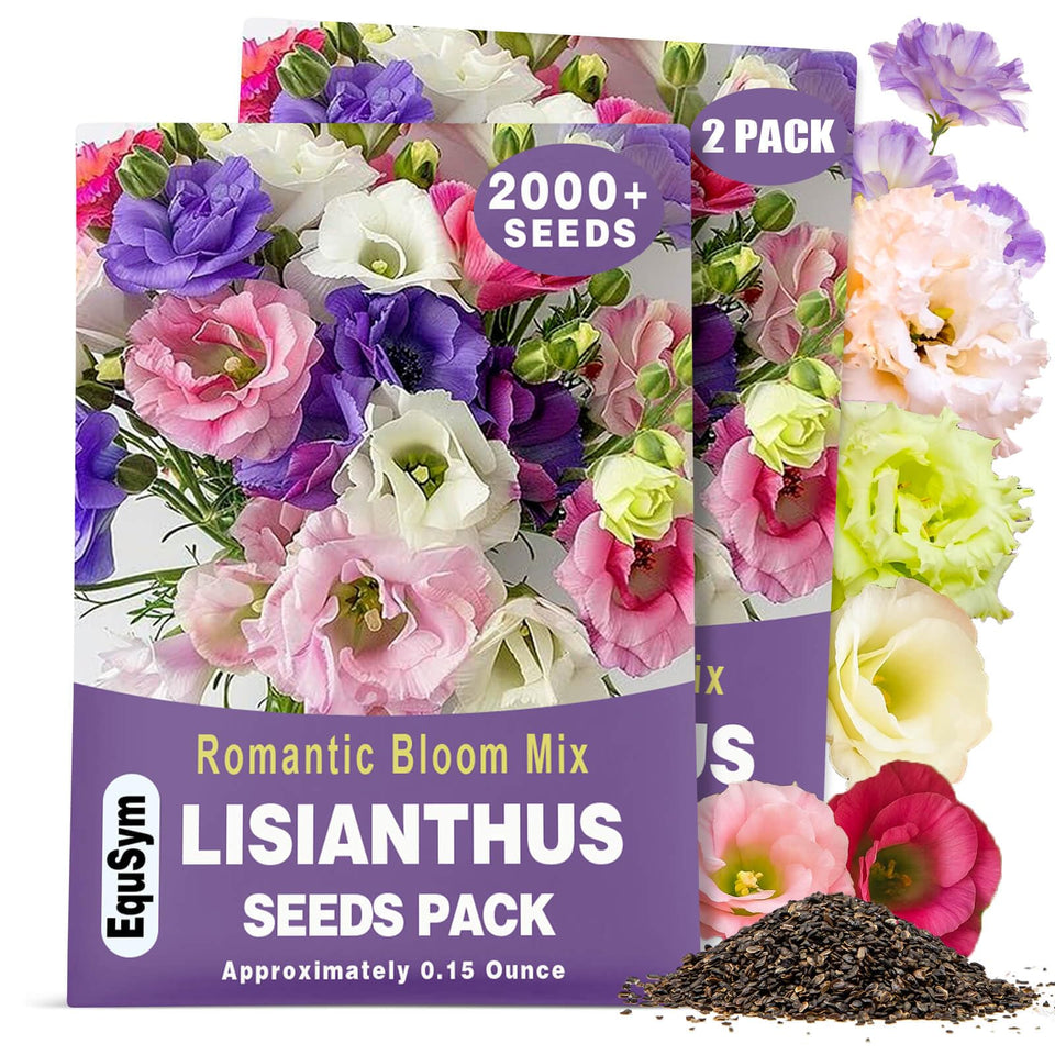 EquSym lisianthus seeds two-pack packets ready for a vibrant garden display.