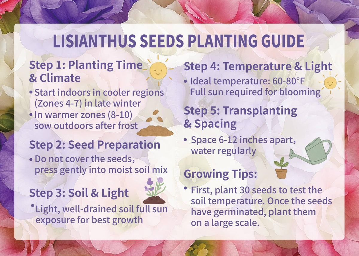 EquSym perennial flower seeds suited for garden beds and containers.