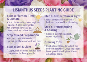 EquSym perennial flower seeds suited for garden beds and containers.