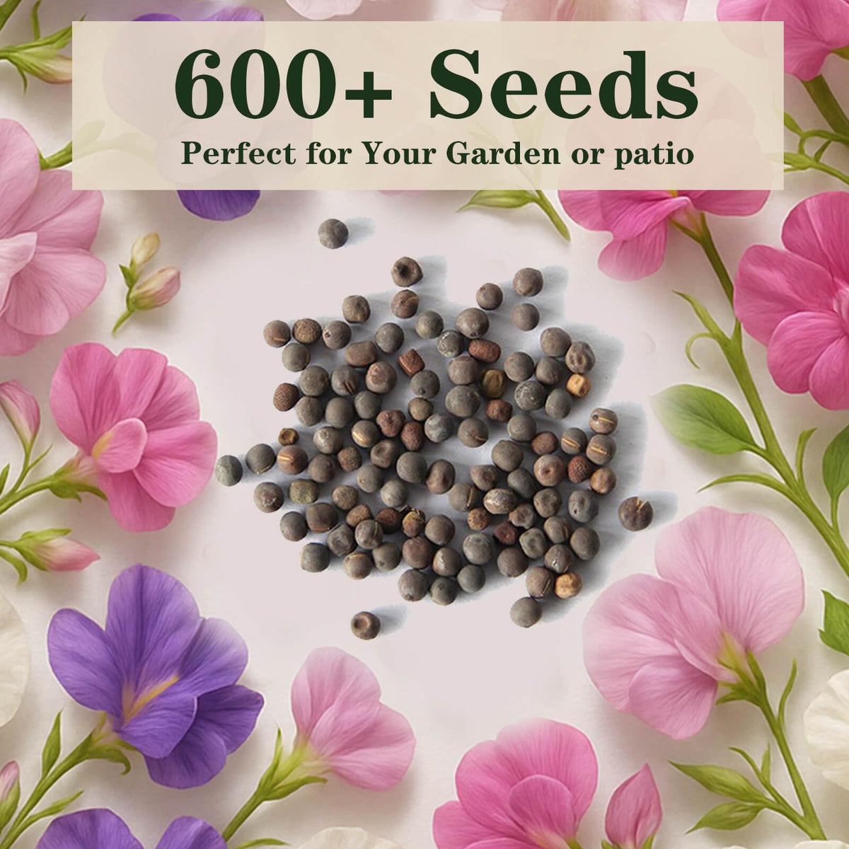 EquSym Sweet Pea seeds close up of blossoms signaling high germination potential