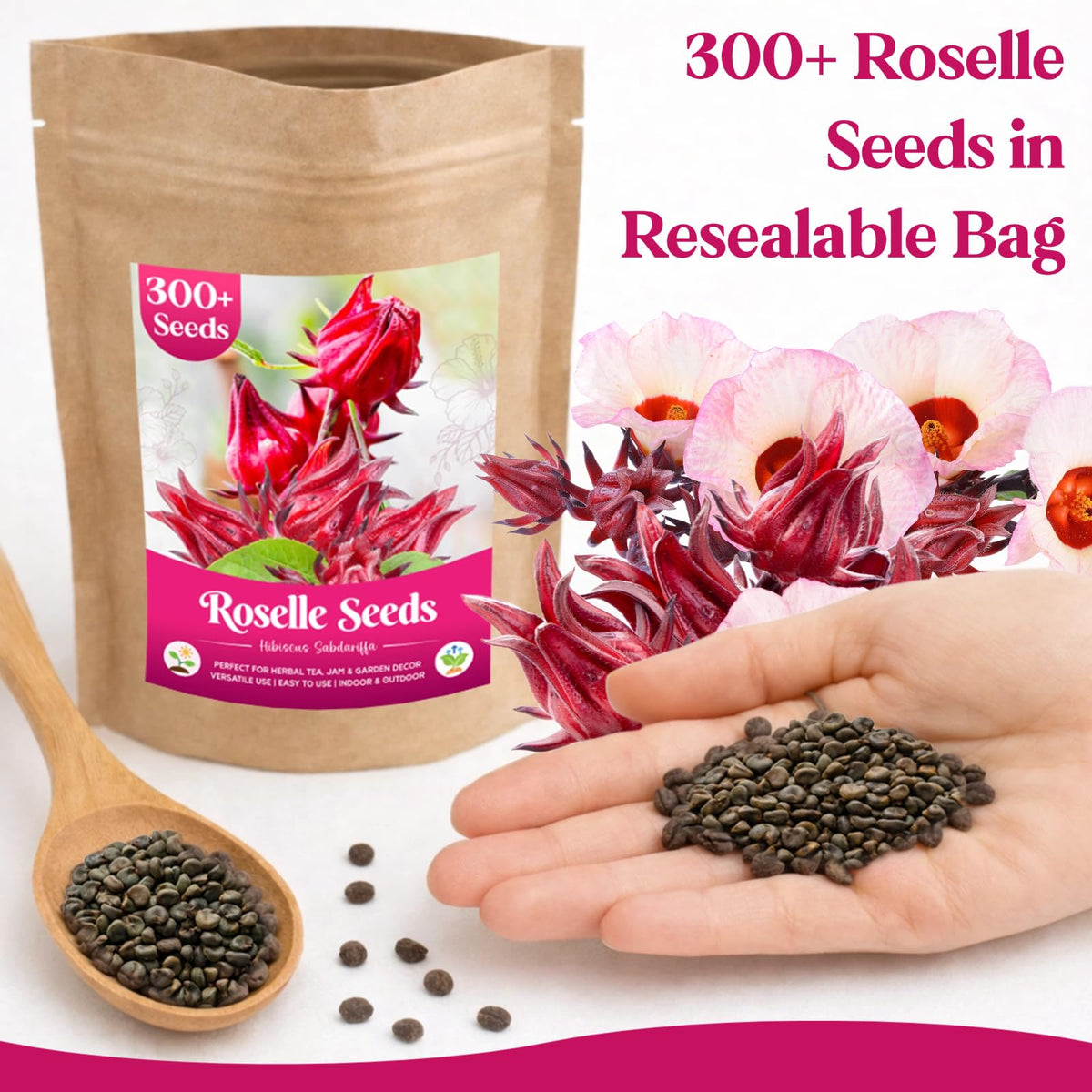 EquSym Roselle seeds handful, perfect for quick germination and garden color.