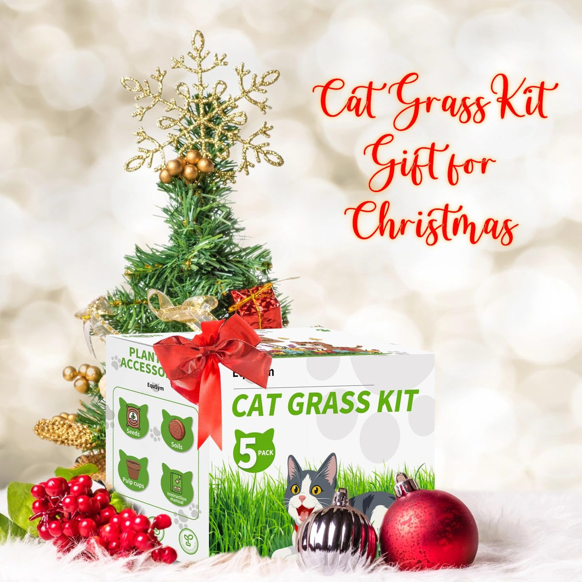 EquSym cat grass seeds kit cat enjoys fresh greens for enrichment.