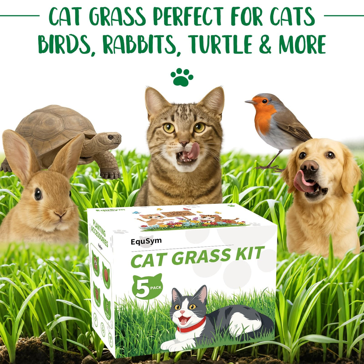 EquSym growth-ready grass blades entice cats to nibble.