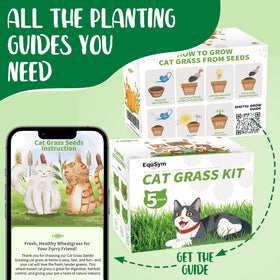 EquSym watering tips show how to keep seeds evenly moist.