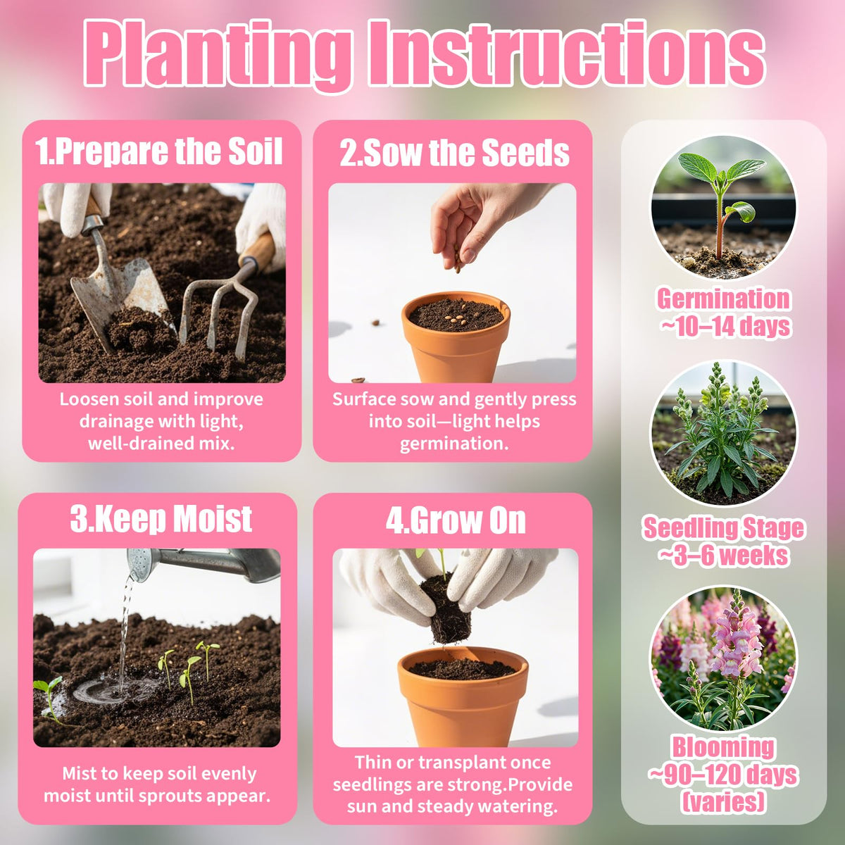 EquSym seeds yield cut flowers for simple bouquets