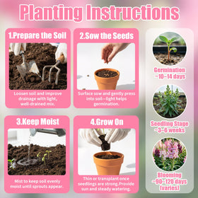 EquSym seeds yield cut flowers for simple bouquets