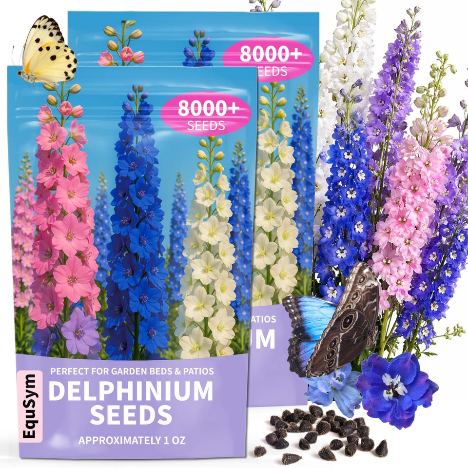 EquSym Delphinium seeds close-up show high germination potential for vibrant borders