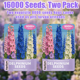 EquSym Delphinium seeds gift pouch ready for gifting to gardeners