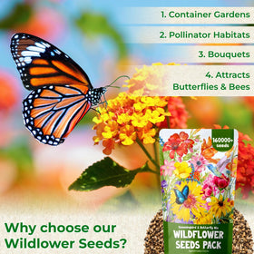 EquSym 4oz wildflower mix is easy to grow with minimal care and effort.