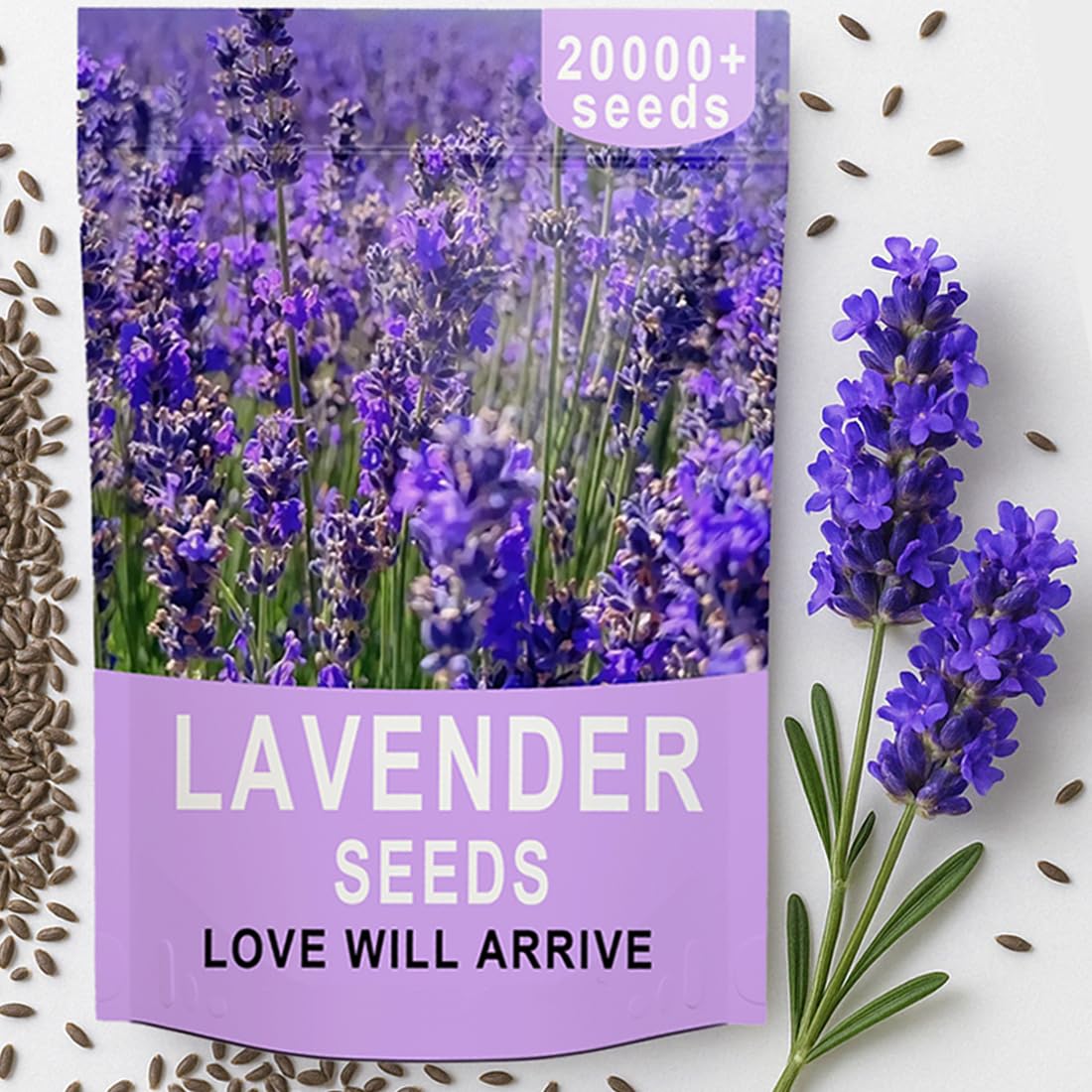 EquSym English lavender seeds bulk pack ideal for large garden planting.
