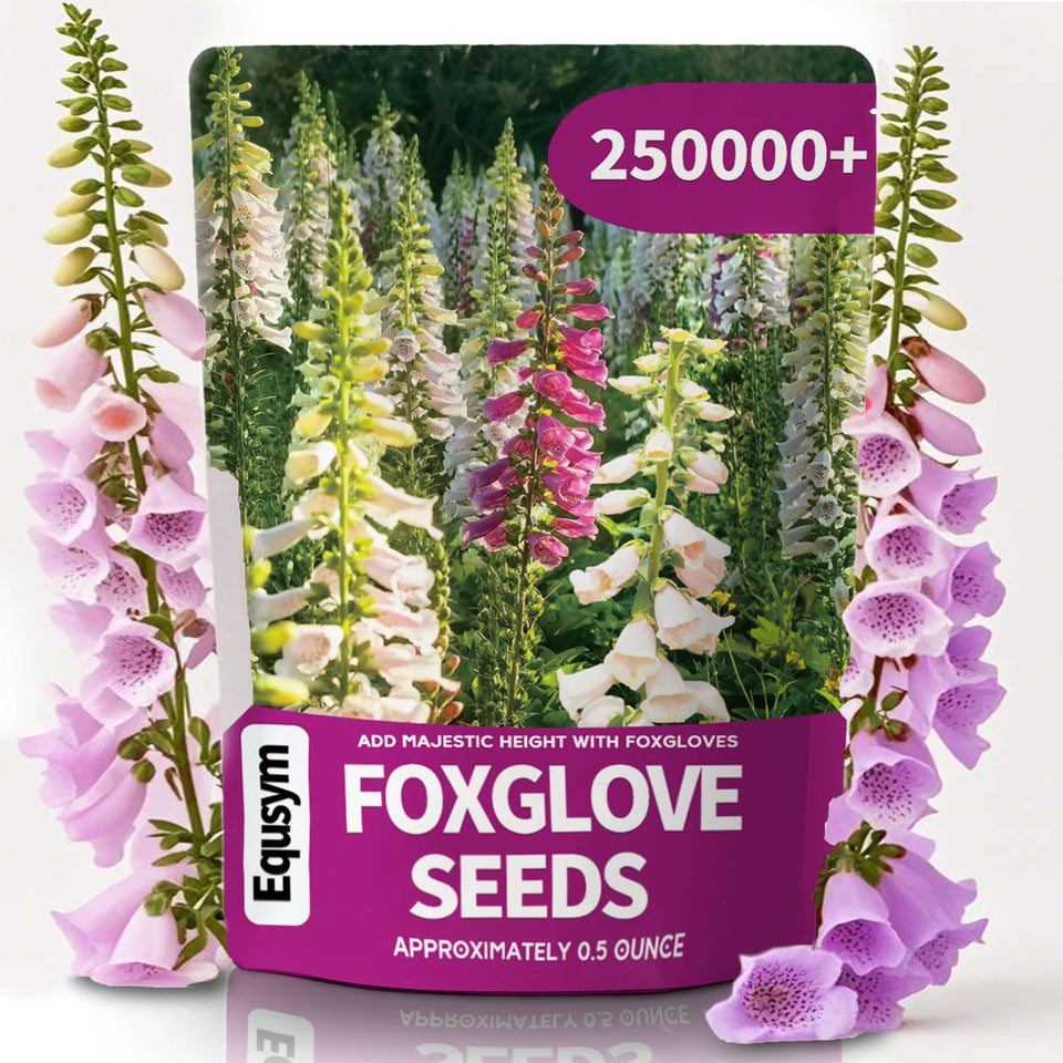 EquSym foxglove seeds bulk pack for lush border planting and color variety